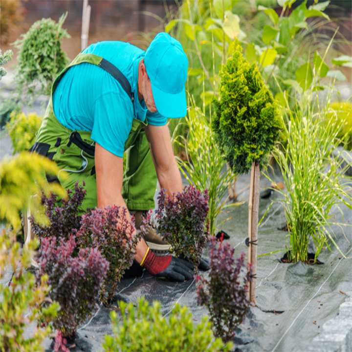 Aménagement des espaces verts - تنسيق المساحات الخضراء